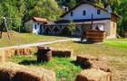 Cabana de vanzare la poalele muntilor Metaliferi - 5