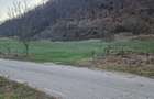 Teren intravilan de vanzare - 3