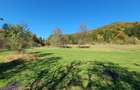Teren agricol de 9000 mp, în Babarunca - 8