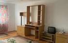 Apartament cu 2 camere semidecomandat în Lugoj - 8