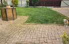 Vand casa in Deva, S+P+M + filigorie, zona Viile Noi (str. Luncii), - 3