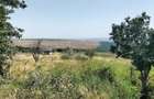 Teren de 1800 mp, în Central - 1