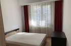 Apartament cu 2 camere decomandat în Lujerului - 6