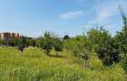 Teren Construcții intravilan de 500 mp, în Gării - 3