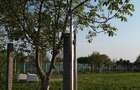Teren intravilan cu vedere spre Lacul Buftea - 10