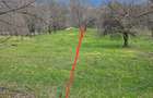 Teren 4.400 mp Comarnic | lini?te, priveli?te ?i intimitate! [ 18 NEGOCIABIL ] - 4