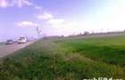 Vand 2500 mp, INTRAVILAN Ghimpati, 9999Euro - 4