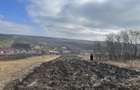 6.000 mp intravilan sat Avintu - 2