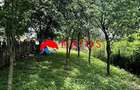 Casa de vanzare in Cornu, Prahova | 2 locuinte | Teren 1.387 mp | Comi - 5