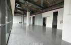 Spatii comerciale de inchiriat - Monaco Towers - de la 78 mp - 4