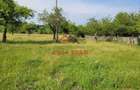 Teren intravilan in Campina, 1490mp--26.820e
