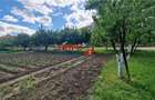 Teren de vanzare in Centrul orasului - 8