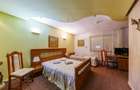 Complex HoReCa functional – 13.000 mp, venituri active, 15 km Timisoara - 15
