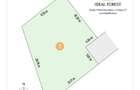 Ideal Forest - VINDEM LOT 1 - 511 m2 DESCHIDERE LA PADUREA SNAGOV - 11