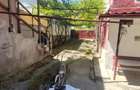 Casă cu 3 camere cu Teren 100 Mp în Noua - 1