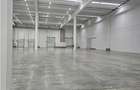 Spatiu Industrial - 3000 mp - Logistica - Productie - Depozitare - Distributie - 5
