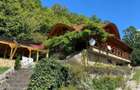 Locuin?a de vis cu poten?ial agroturistic, sat Carbunari - 13
