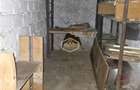 Carpati 1 | Apartament cu 2 camere - 47 m2 | Parter, loc excelent - 12