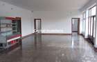Spatiu comercial generos, la drum principal, localitatea Daia - 6