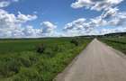 Teren extravilan de 100000 mp, în Lipănești - 7
