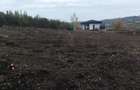Teren Construcții intravilan de 1300 mp, în Podgoria - 2