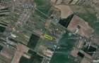 Inchiriez 10.000 mp - teren intravilan langa Padurea Ileana - Dragomiresti - 1