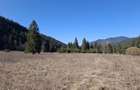 Teren Intravilan | Schitu Tarcau | 2089MP | Izvor | Platou - 11