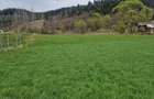Vindem teren in Vatra Moldovitei - Bucovina - 6