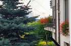 Apartament la casa de inchiriat 43 mp, terasa si loc de parcare. 9 - 2