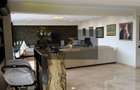 Penthouse Nufarul Oradea - 2