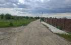 Teren de vanzare-Gulia-514 mp-30.000 Euro - 6