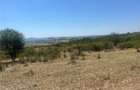 RECO Teren extravilan Holod 27400 mp - 11