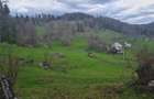 Teren de 800 mp, în Gârda de Sus - 2