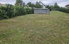 Vand proprietate front doua strazi Beius - 3