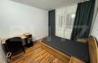 Apartament de inchiriat, 64 mp, zona Brazda lui Novac - 9