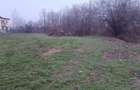 Proprietar Teren intravilan DE VANZARE (negociabil) sat Bobolia -PH - 7