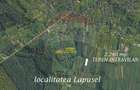 1.500 eur/ar - TEREN INTRAVILAN in Lapusel - 1