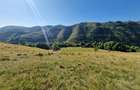 RECO teren extravilan Remeti - 5