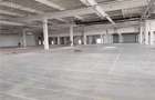 Spatii Industriale - 9000 mp - Productie - Depozitare - Distributie - 11