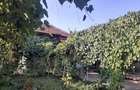 Vand casa ,cu curte ?i gradina - 3