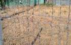 Teren intravilan de 305 mp, în Brătianu - 2