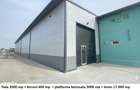 Hala + Cladire birouri + teren 17000mp + 3000 beton, toate utilitatile - 3