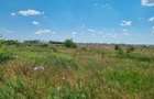 Vanzare Teren intravilan 5000mp Magurele - 6