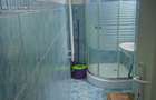 Apartament cu 2 camere semidecomandat în Nufărul - 5