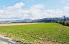 Teren intravilan 8906 mp, Dofteana - 6