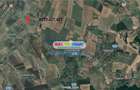 De vanzare teren_Balasesti, Jud, Galati - 3