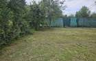 Vand proprietate front doua strazi Beius - 1