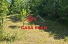 Casă în Poiana - 5