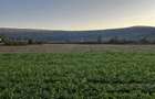 Teren extravilan-arabil 5800m2 - 1