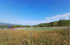 Parcela Dupa-Hill Bistrita- zona cartier RAAL - 6